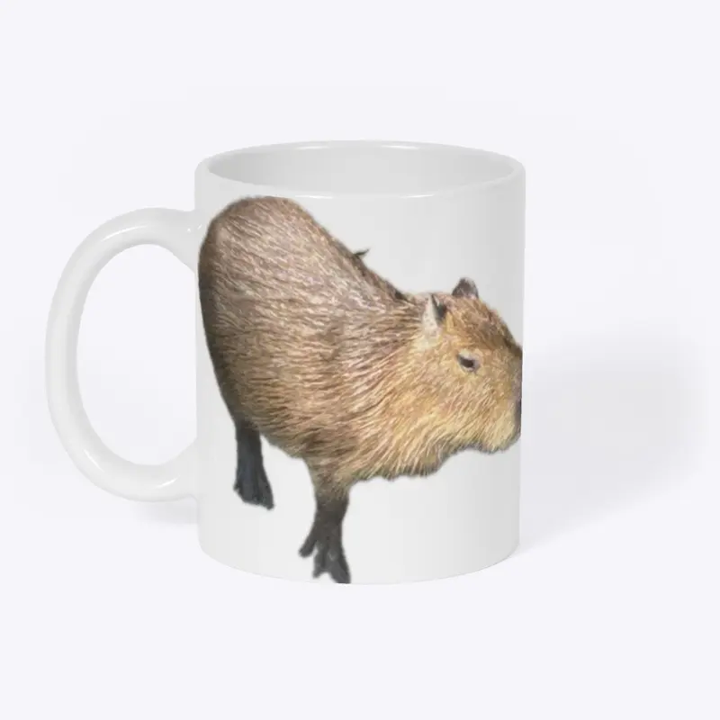 Capybara  collection