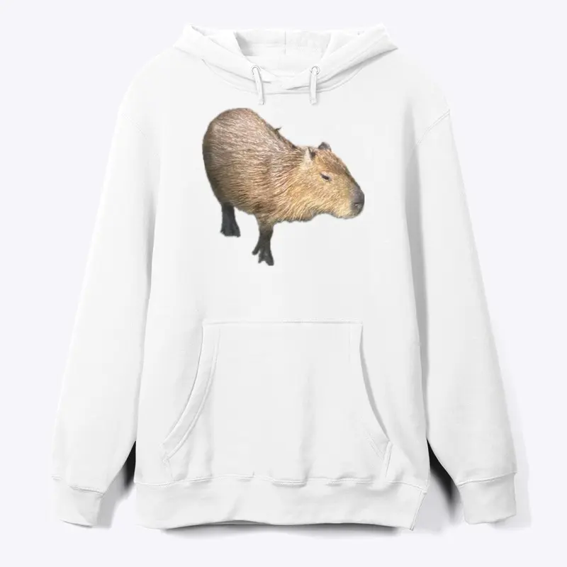 Capybara  collection