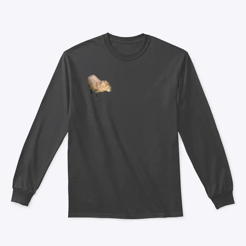 Capybara  collection