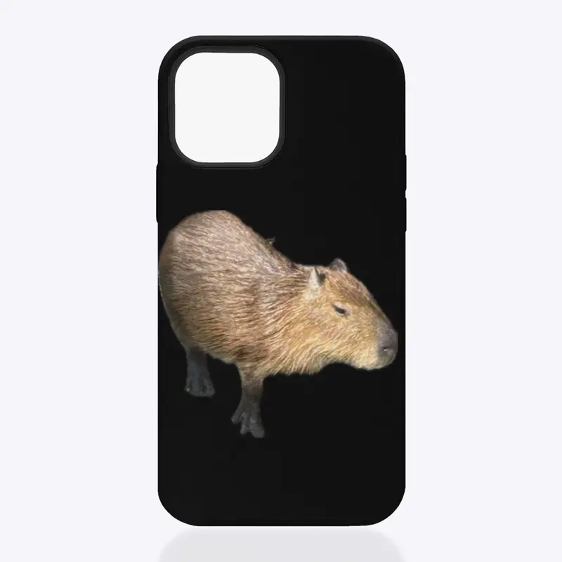 Capybara collection 