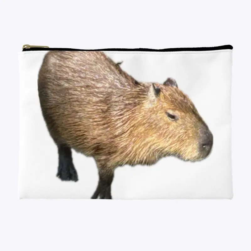 Capybara  collection